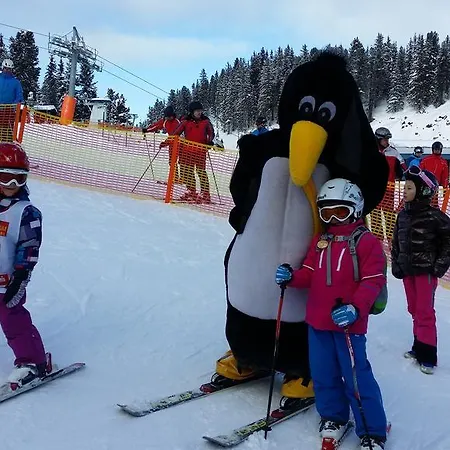Kornerhof Zillertal كالتنباش