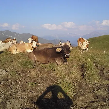 公寓 Kornerhof Zillertal